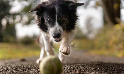 activities and playing